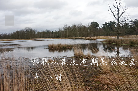招联从来没逾期怎么也套路了-招联逾期一个小时
