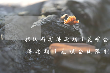 招联好期待逾期了花呗会被限制-招联好期待逾期了花呗会被限制消费吗