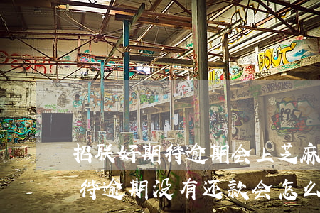招联好期待逾期会上芝麻负面吗-招联好期待逾期没有还款会怎么样,有什么影响