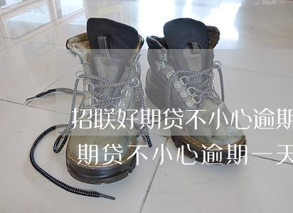 招联好期贷不小心逾期一天怎么办-招联好期贷不小心逾期一天会有问题吗?