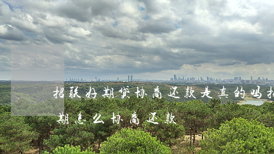 招联好期贷协商还款是真的吗（招联好期贷逾期怎么协商还款）