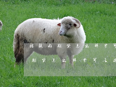 招联好期贷怎么样才可以延期还款-招联好期贷怎么样才可以延期还款呢