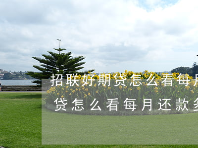 招联好期贷怎么看每月还款多少-招联好期贷怎么看每月还款多少啊