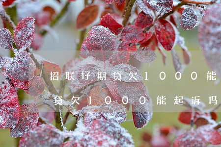 招联好期贷欠1000能起诉吗-招联好期贷欠1000能起诉吗是真的吗
