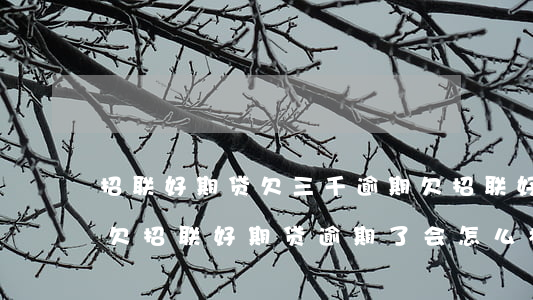 招联好期贷欠三千逾期(欠招联好期贷逾期了欠招联好期贷逾期了会怎么样)