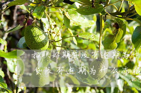 招联好期贷没有逾期为什么冻结-招联好期贷没有逾期为什么冻结额度了