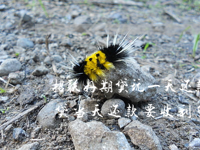 招联好期贷玩一天还款会怎么样-招联好期贷当天还款要收利息吗