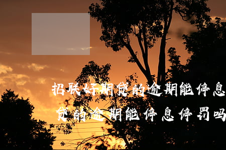 招联好期贷的逾期能停息停罚吗-招联好期贷的逾期能停息停罚吗是真的吗