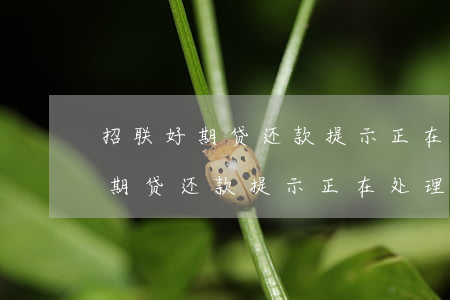 招联好期贷还款提示正在处理还款-招联好期贷还款提示正在处理还款中