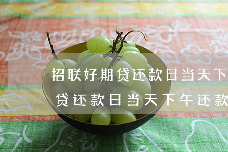 招联好期贷还款日当天下午还款-招联好期贷还款日当天下午还款可以吗
