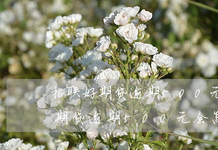招联好期贷逾期500元会怎么样-招联好期贷逾期500元会怎么样吗