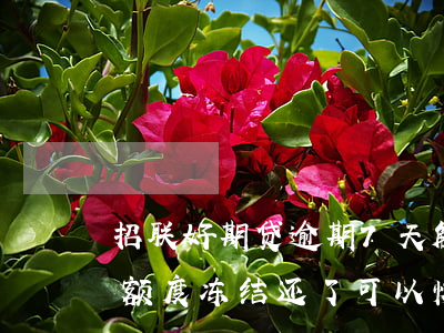 招联好期贷逾期7天解冻-招联好期贷逾期额度冻结还了可以恢复吗