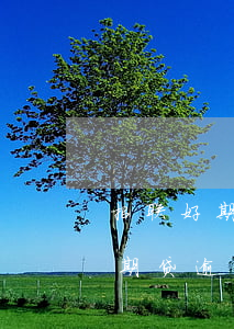 招联好期贷逾期一万会上门走访么-招联好期贷逾期一万会上门走访么吗