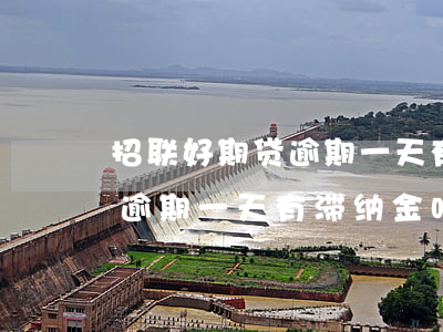 招联好期贷逾期一天有滞纳金吗(招联好期贷逾期一天有滞纳金吗)