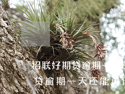 招联好期贷逾期一天还能再借吗-招联好期贷逾期一天还能再借吗安全吗