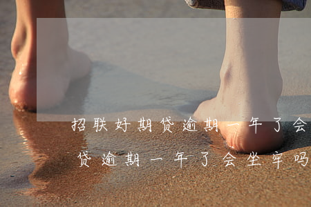 招联好期贷逾期一年了会坐牢吗-招联好期贷逾期一年了会坐牢吗知乎