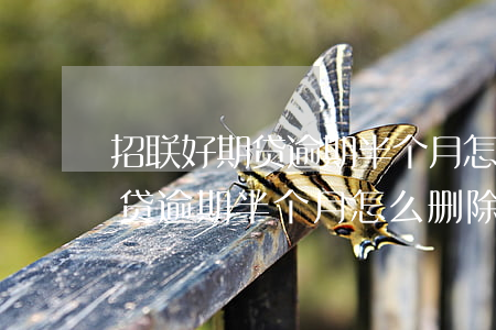 招联好期贷逾期半个月怎么删除-招联好期贷逾期半个月怎么删除记录