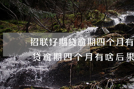 招联好期贷逾期四个月有啥后果-招联好期贷逾期四个月有啥后果吗