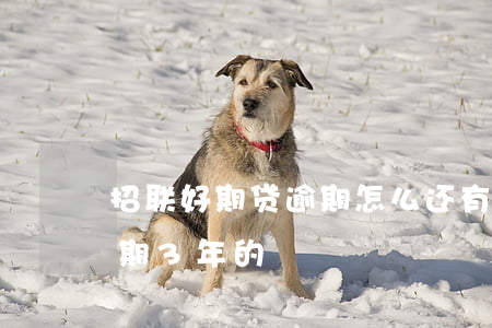 招联好期贷逾期怎么还(有没有招联好期贷逾期3年的)
