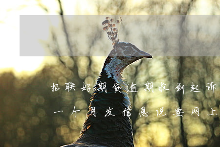 招联好期贷逾期收到起诉函 招联好期贷逾期一个月发信息说要网上法律仲裁
