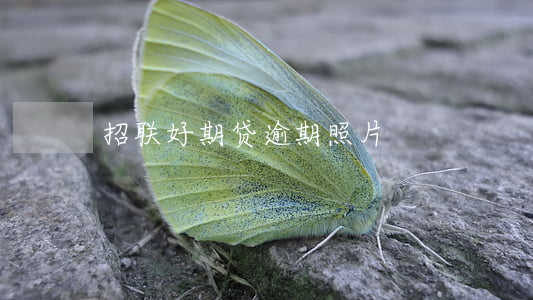 招联好期贷逾期照片