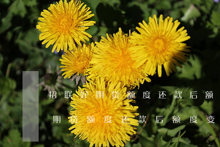 招联好期贷额度还款后额度变0了-招联好期贷额度还款后额度变0了怎么回事