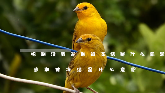 招联没有逾期被冻结是什么意思-招联没有逾期被冻结是什么意思