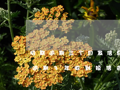 招联逾期三个月发信息说起诉我(招联好期贷逾期3年收到短信会起诉我)