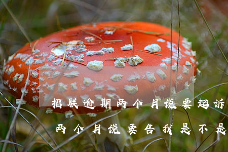 招联逾期两个月说要起诉(招联金融借款逾期两个月说要告我是不是真的)