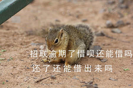 招联逾期了借呗还能借吗(招联金融逾期1天还了还能借出来吗)