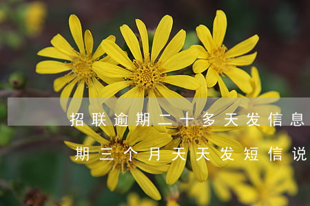 招联逾期二十多天发信息说要起诉-招联逾期三个月天天发短信说起诉真的吗