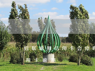 招联逾期信用卡会停吗(招联金融说我银行信用卡逾期)