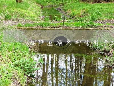 招联逾期影响信用卡吗(招联金融逾期会影响信用卡吗)