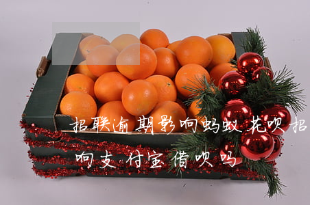 招联逾期影响蚂蚁花呗(招联好期贷逾期会影响支付宝借呗吗?)