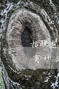 招联逾期能判几年(招联欠了两年逾期不还会有什么后果)