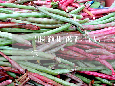 招联逾期被起诉后会怎么样-招联多久会起诉