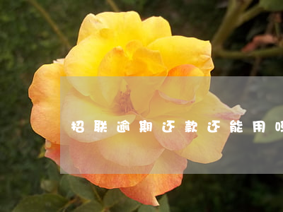 招联逾期还款还能用吗