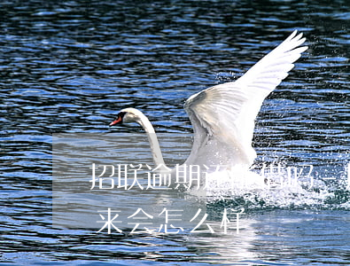 招联逾期还能借吗-招联欠钱逾期还不上,后来会怎么样