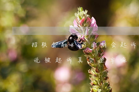 招联金融8万逾期会起诉吗 招联金融逾期了,说被起诉,真会坐牢嘛?