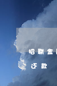 招联金融怎么延期-招联金融怎么协商延期还款