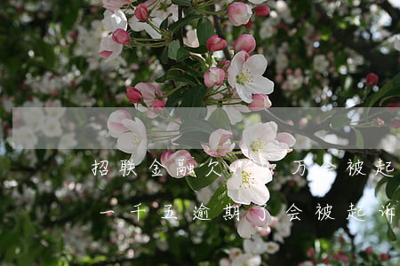 招联金融欠10万会被起诉吗(招联金融欠了一千五逾期了会被起诉吗)