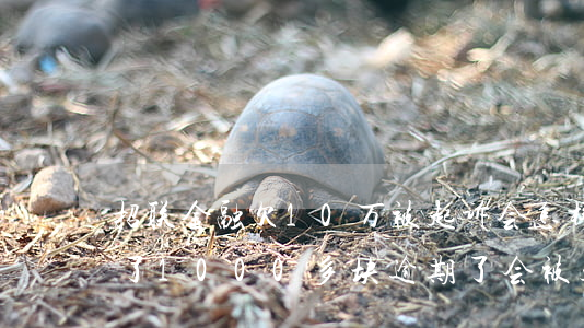 招联金融欠10万被起诉会怎样(招联金融欠了1000多块逾期了会被起诉吗?)
