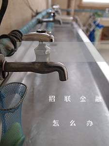 招联金融欠2个月没还(招联金融一个月没还怎么办)