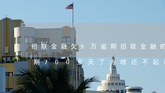 招联金融欠9万逾期(招联金融的欠款已经逾期700多天了为啥还不起诉)