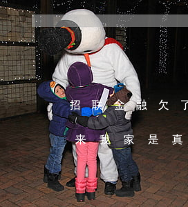 招联金融欠了3万(招联金融欠几百块钱说要来我家是真的嘛)