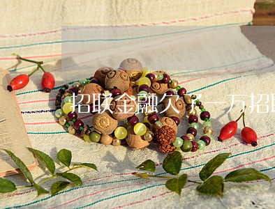 招联金融欠了一万(招联金融三千多没还)