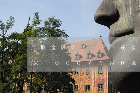 招联金融欠了一千不还怎么样(现在招联金融欠1000 7个月还会怎么样)