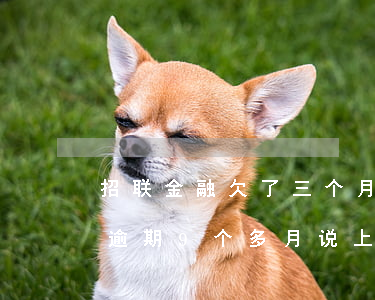 招联金融欠了三个月(招联金融欠3000多逾期9个多月 说上门)