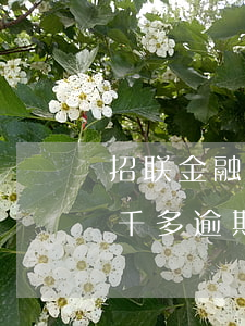 招联金融欠几百会被起诉吗(招联金融欠了三千多逾期一年了会起诉不)