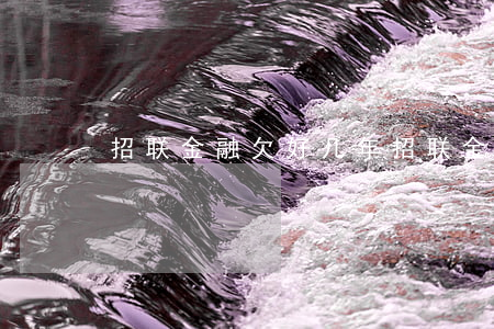 招联金融欠好几年(招联金融几年没还了)